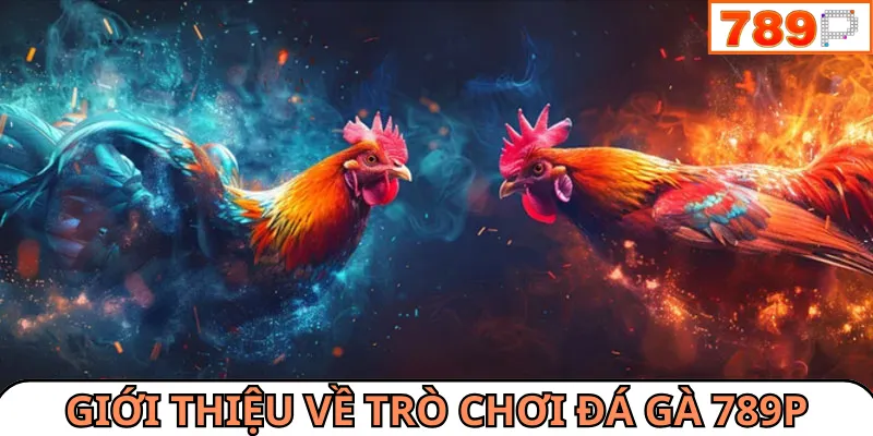 Đá gà 789P là bộ môn giải trí được yêu thích hiện nay